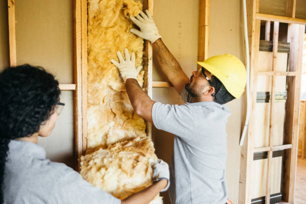 Types of Insulation We Offer in Westville, IL