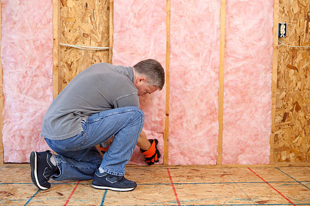 Best Fireproof Insulation  in Westvle, IL