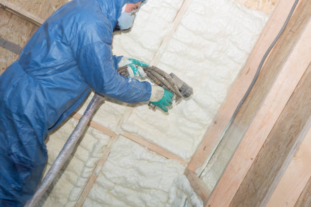 Best Attic Insulation Installation  in Westvle, IL